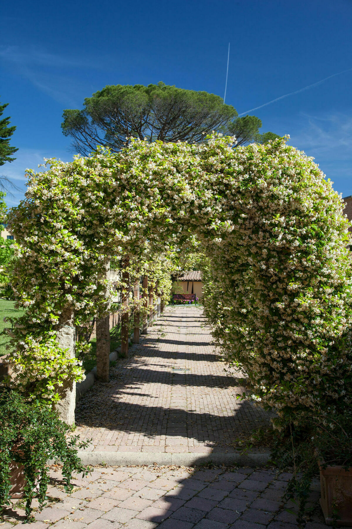 Villa Borri Casciana Terme Eksteriør billede